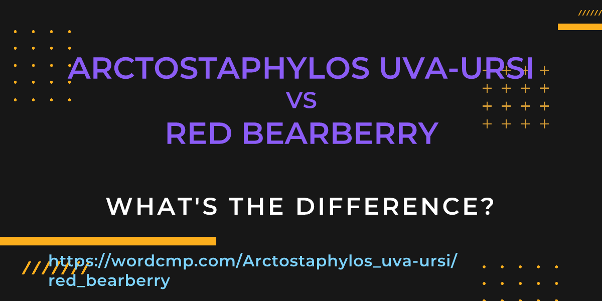 Difference between Arctostaphylos uva-ursi and red bearberry