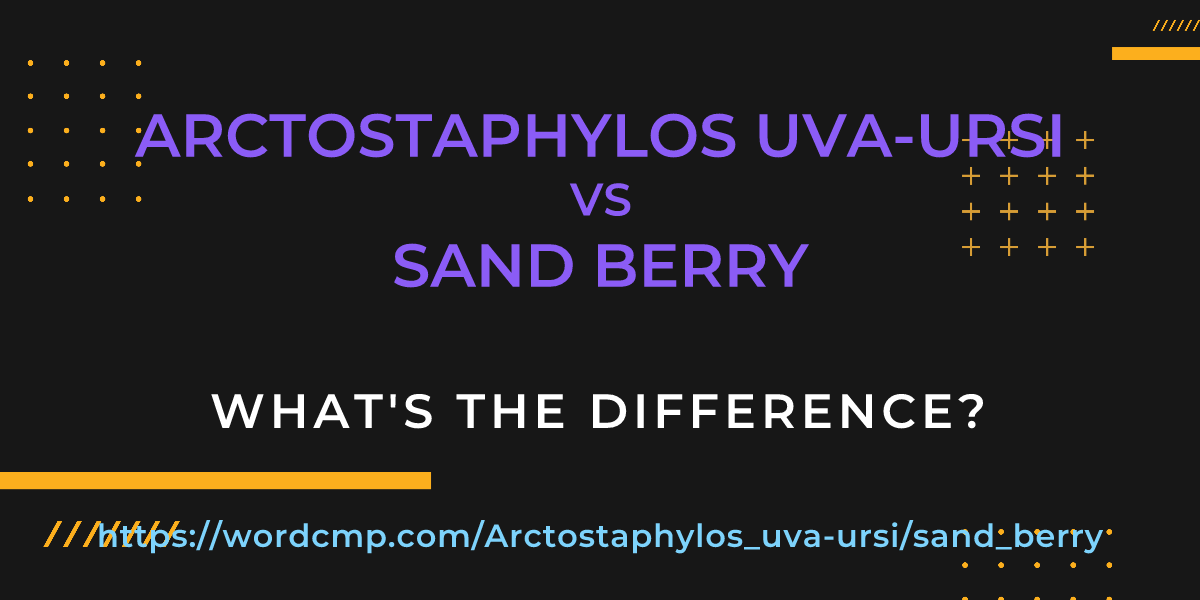 Difference between Arctostaphylos uva-ursi and sand berry