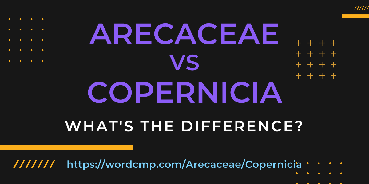 Difference between Arecaceae and Copernicia