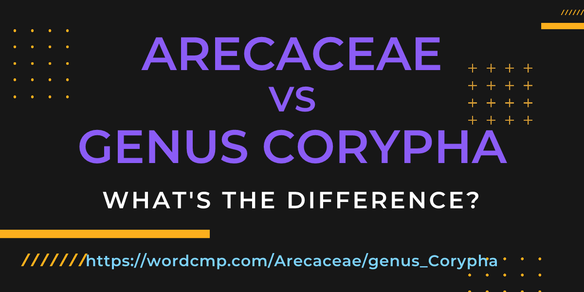 Difference between Arecaceae and genus Corypha