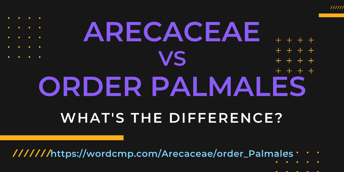 Difference between Arecaceae and order Palmales