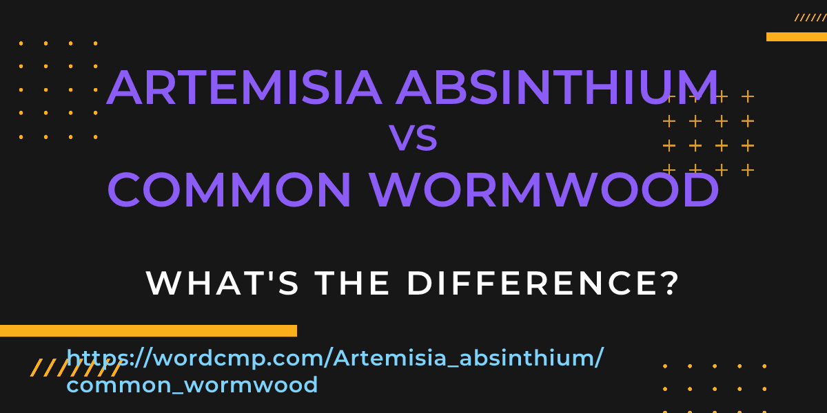Difference between Artemisia absinthium and common wormwood
