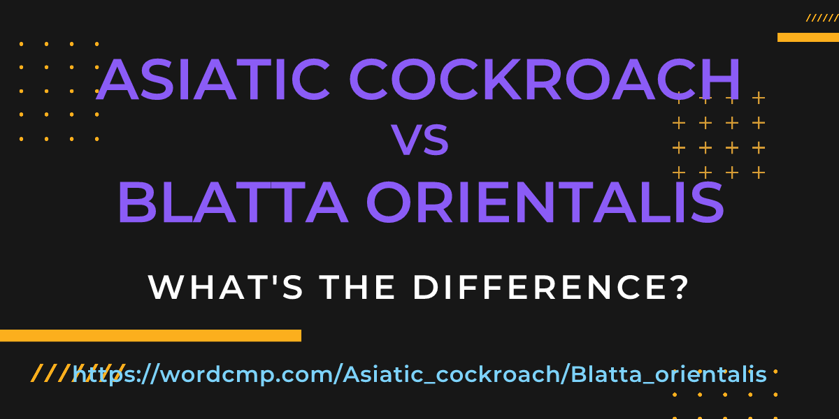 Difference between Asiatic cockroach and Blatta orientalis