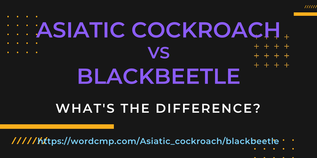 Difference between Asiatic cockroach and blackbeetle