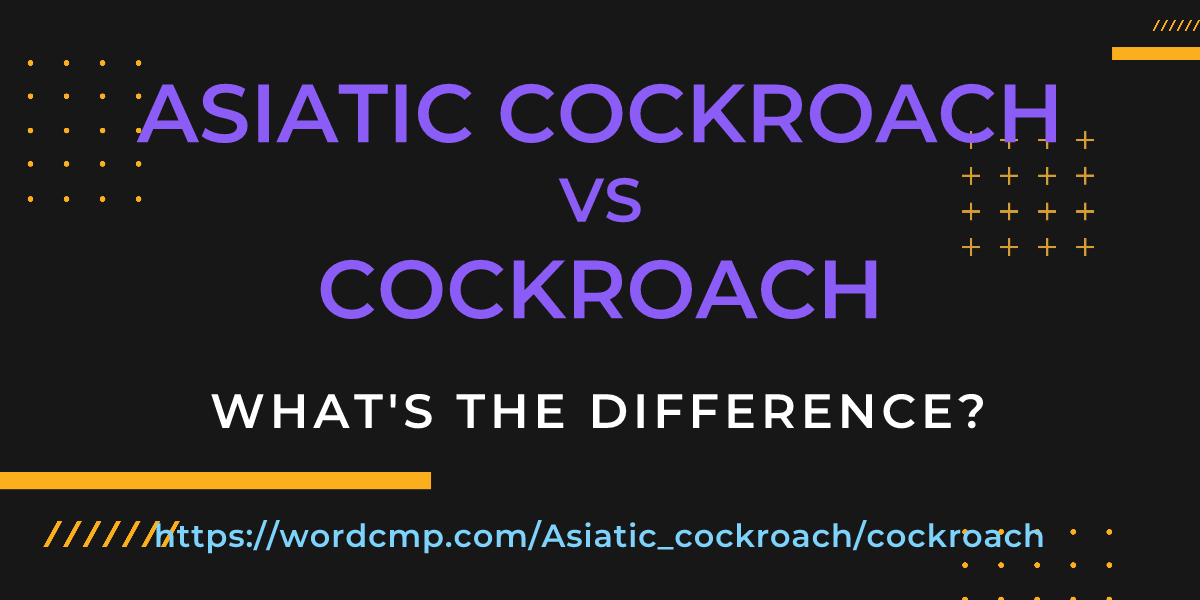 Difference between Asiatic cockroach and cockroach