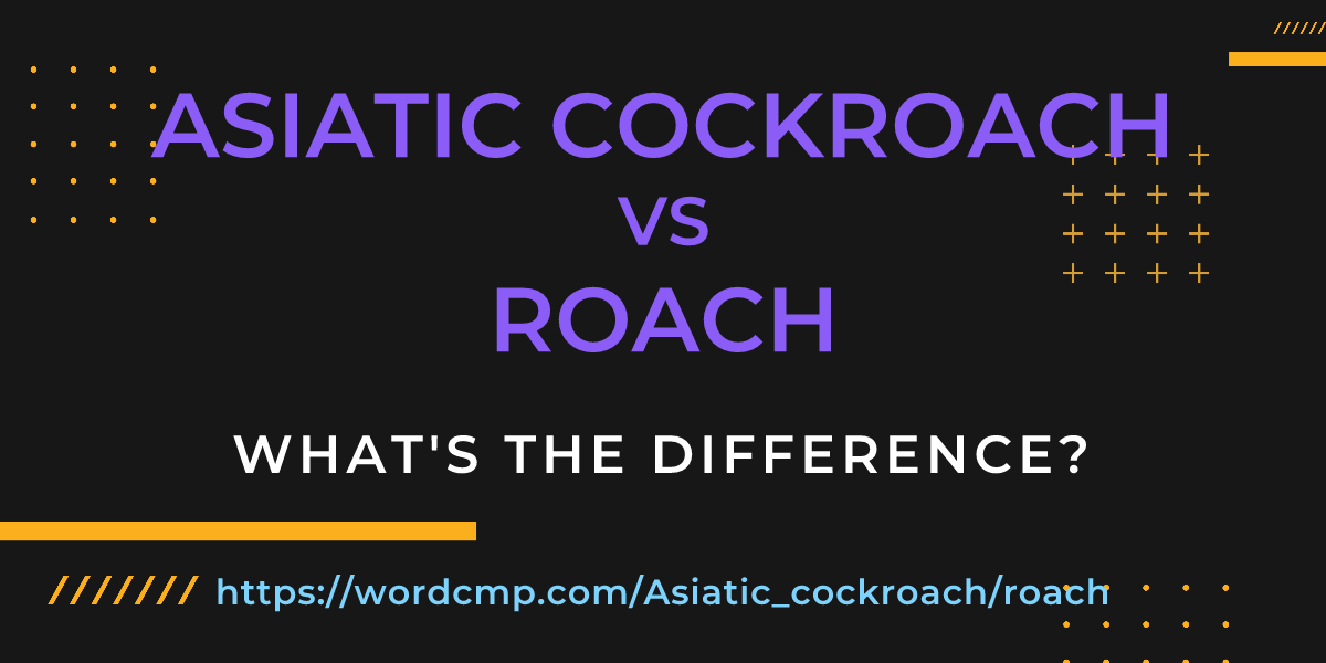 Difference between Asiatic cockroach and roach