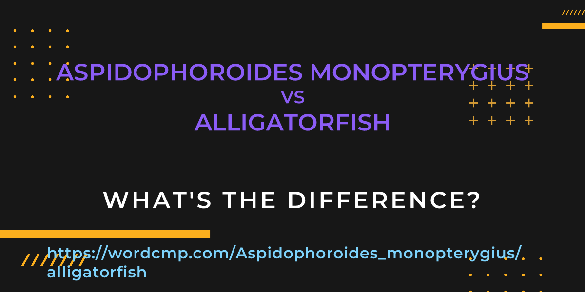 Difference between Aspidophoroides monopterygius and alligatorfish