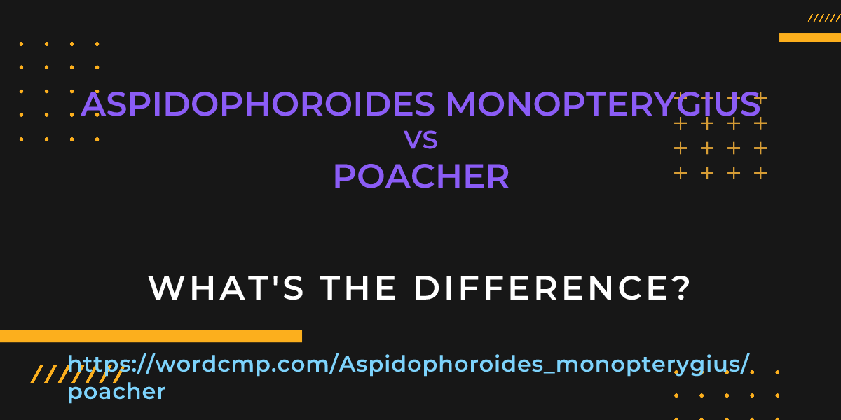 Difference between Aspidophoroides monopterygius and poacher