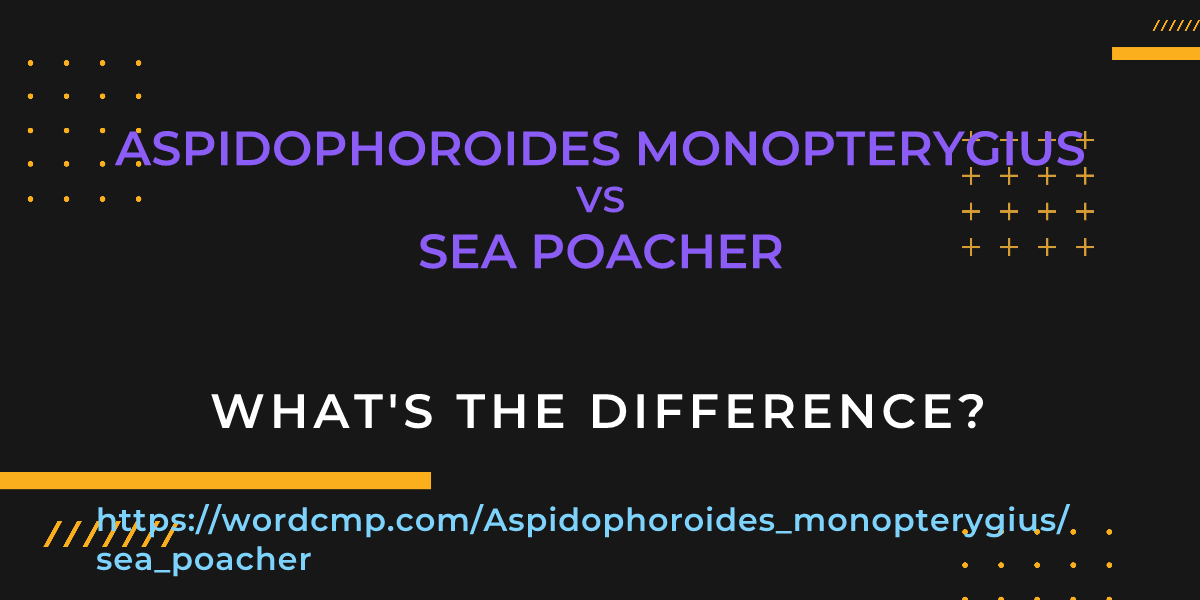 Difference between Aspidophoroides monopterygius and sea poacher