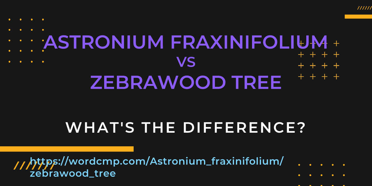 Difference between Astronium fraxinifolium and zebrawood tree