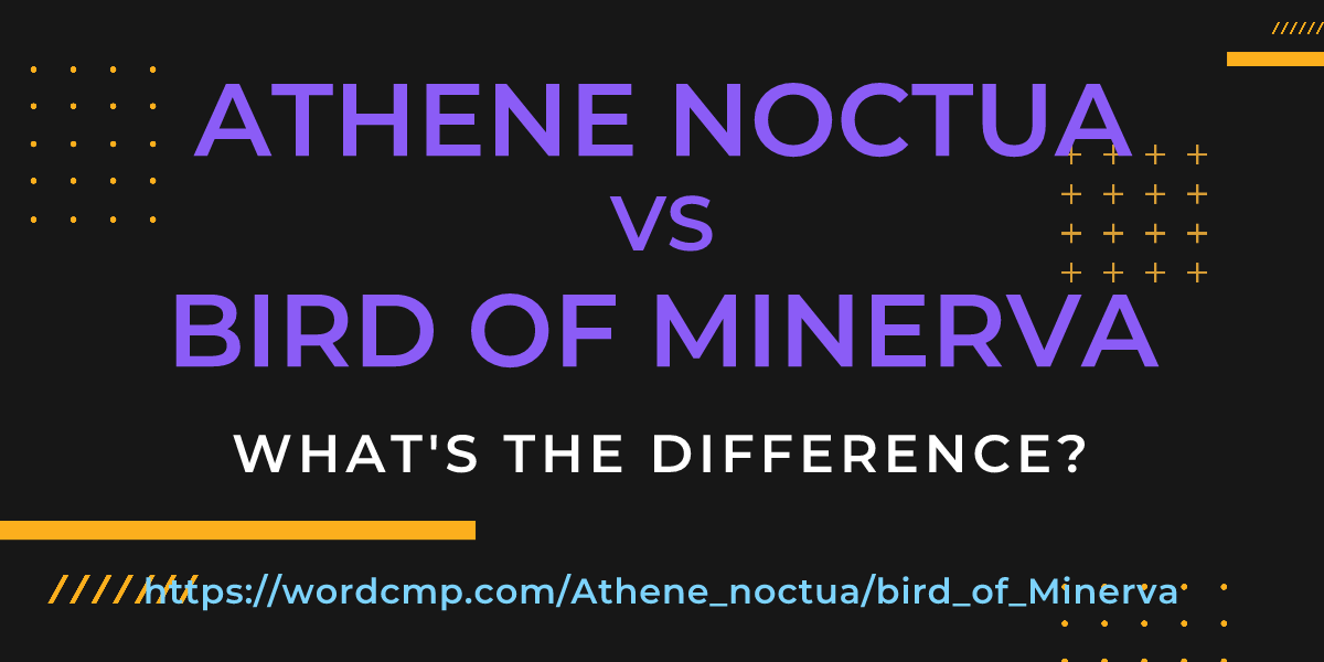 Difference between Athene noctua and bird of Minerva