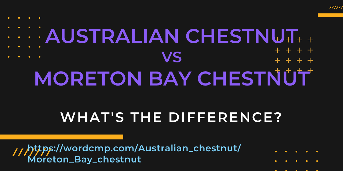 Difference between Australian chestnut and Moreton Bay chestnut