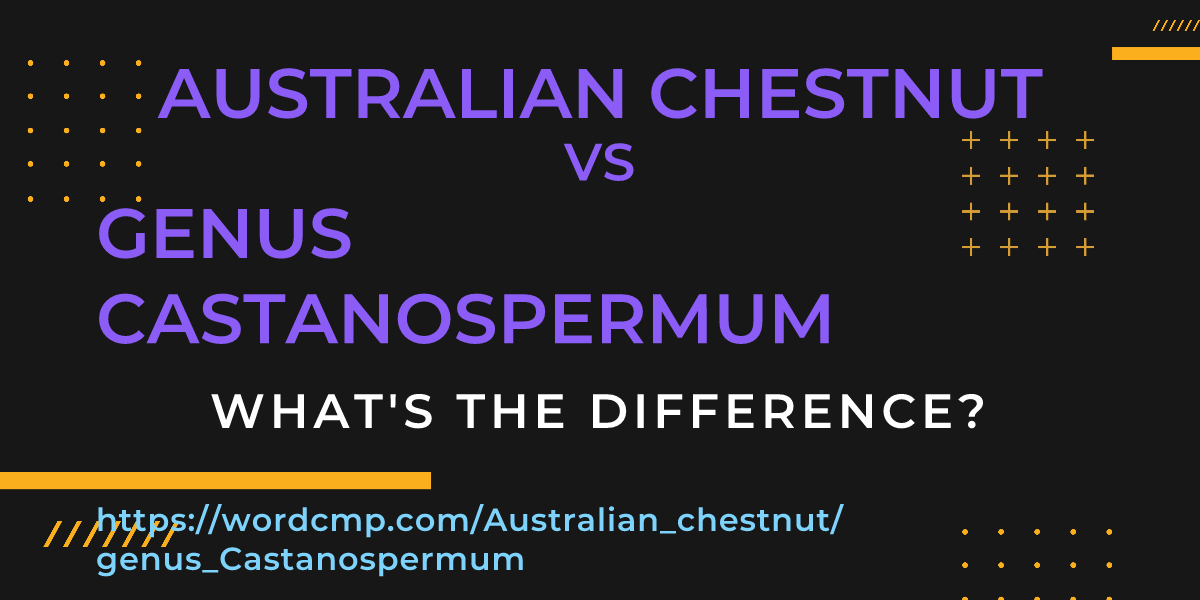 Difference between Australian chestnut and genus Castanospermum