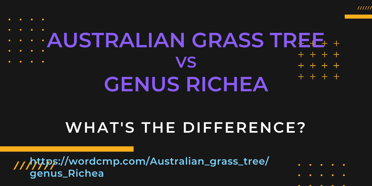 Difference between Australian grass tree and genus Richea