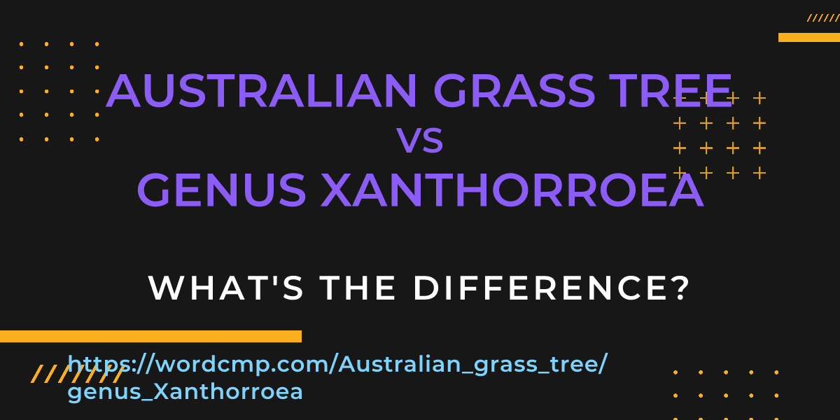 Difference between Australian grass tree and genus Xanthorroea