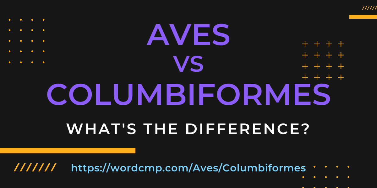 Difference between Aves and Columbiformes