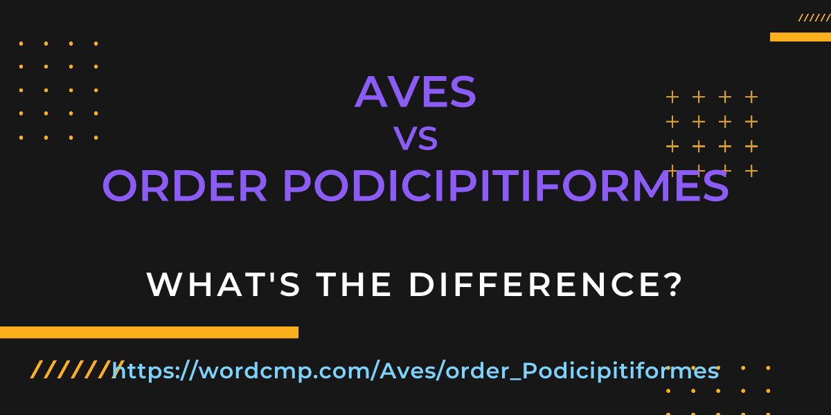Difference between Aves and order Podicipitiformes