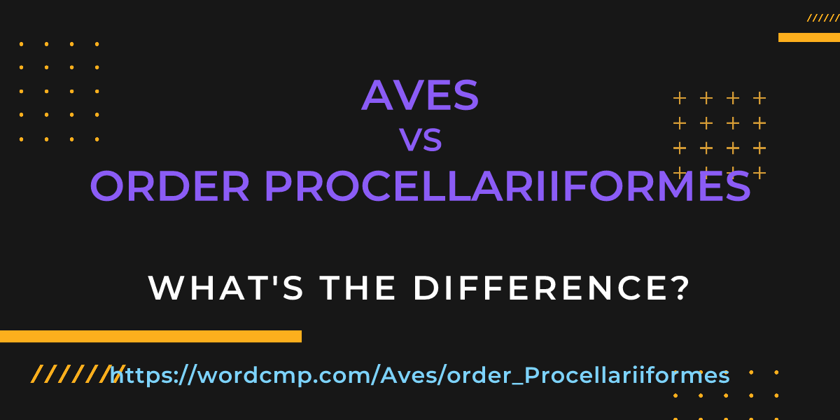 Difference between Aves and order Procellariiformes