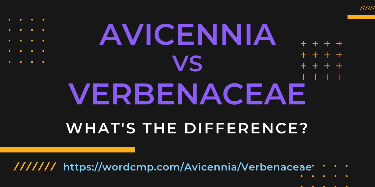 Difference between Avicennia and Verbenaceae
