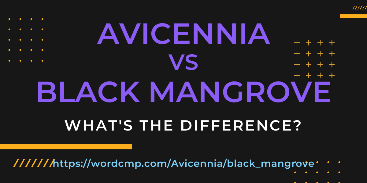 Difference between Avicennia and black mangrove