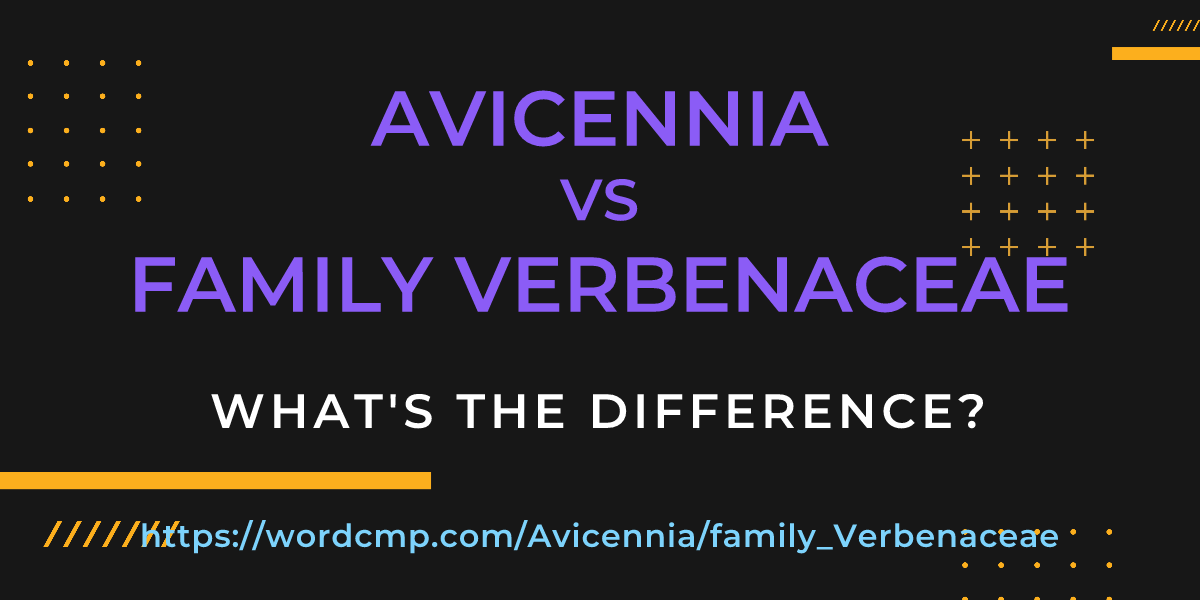 Difference between Avicennia and family Verbenaceae