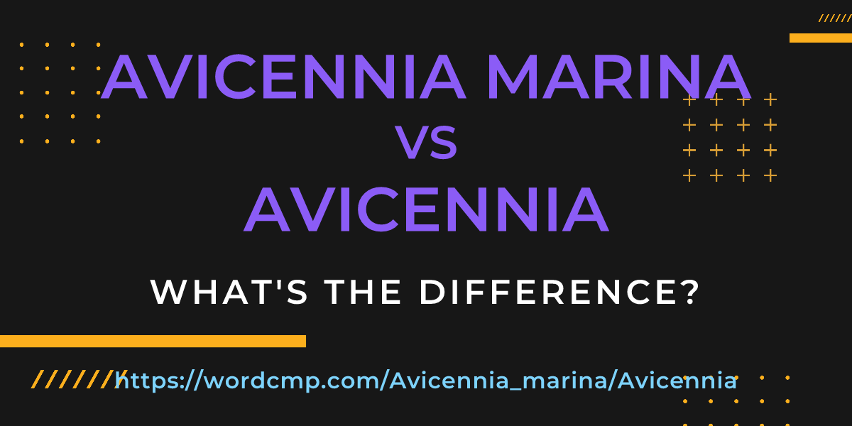 Difference between Avicennia marina and Avicennia