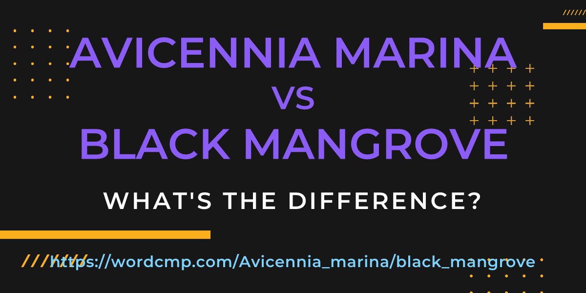 Difference between Avicennia marina and black mangrove