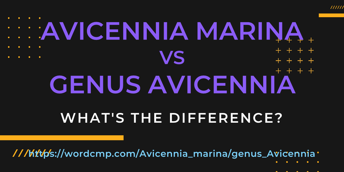 Difference between Avicennia marina and genus Avicennia