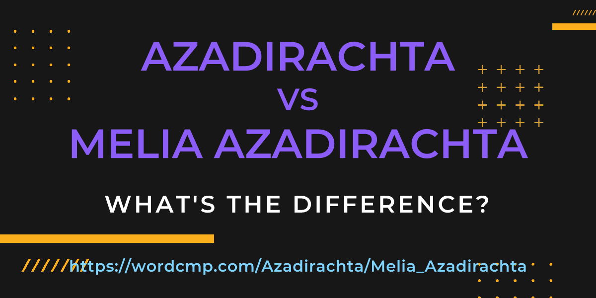 Difference between Azadirachta and Melia Azadirachta