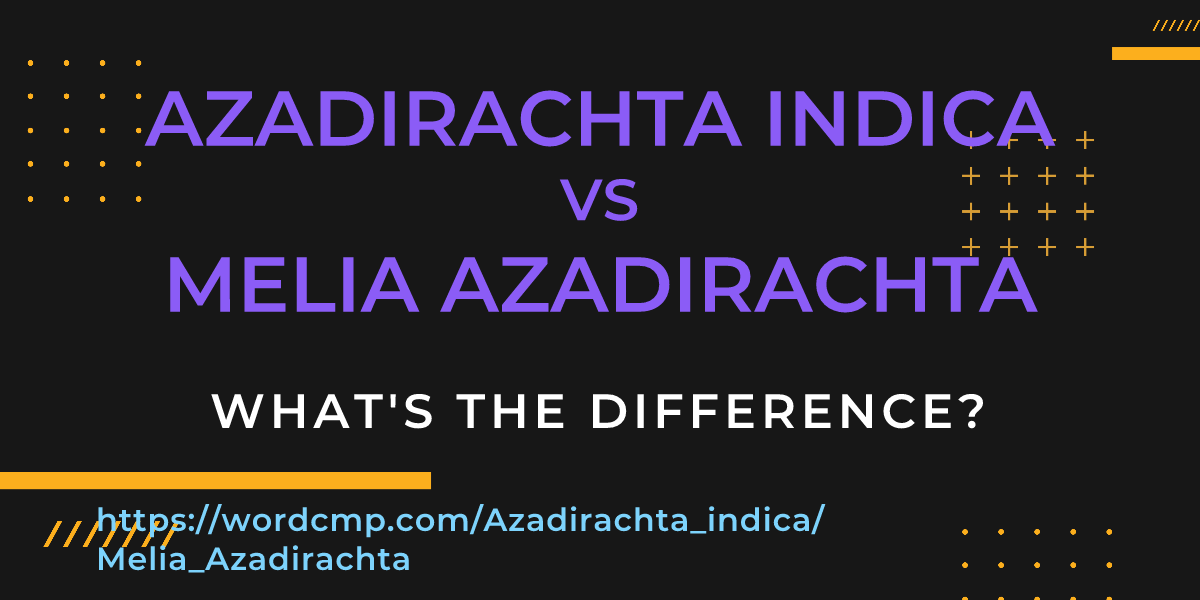 Difference between Azadirachta indica and Melia Azadirachta