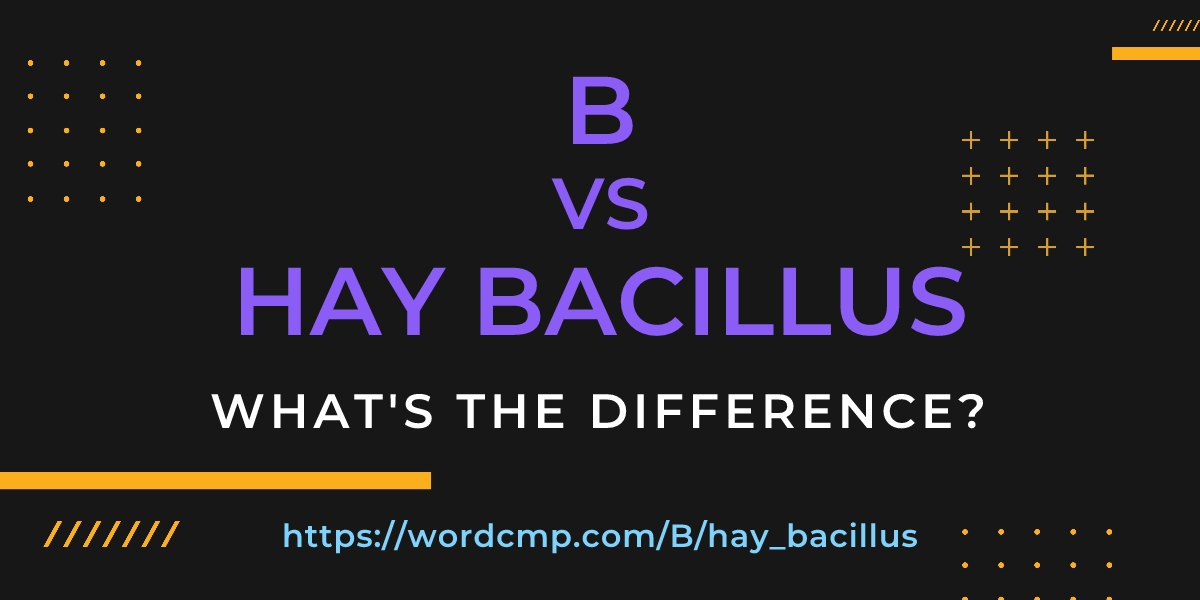 Difference between B and hay bacillus