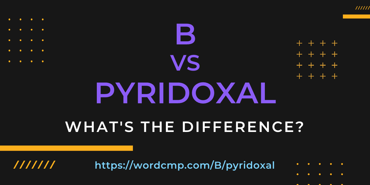 Difference between B and pyridoxal