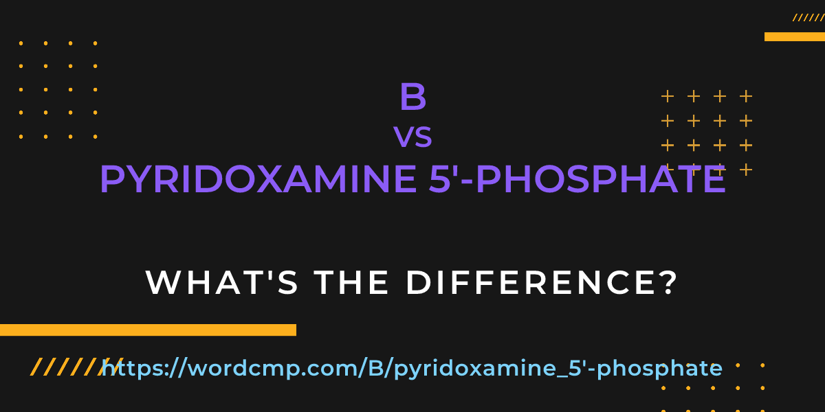 Difference between B and pyridoxamine 5'-phosphate