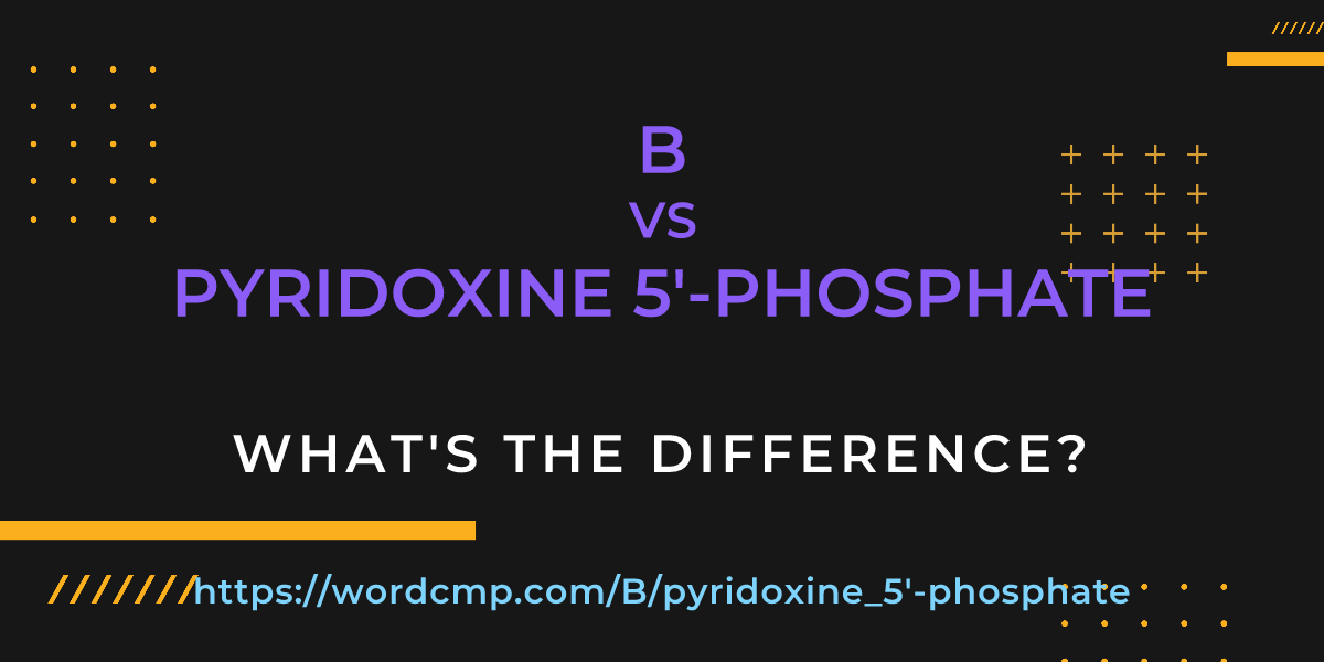 Difference between B and pyridoxine 5'-phosphate