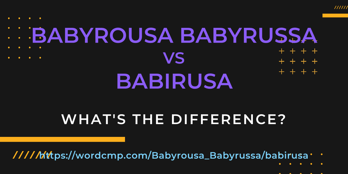 Difference between Babyrousa Babyrussa and babirusa
