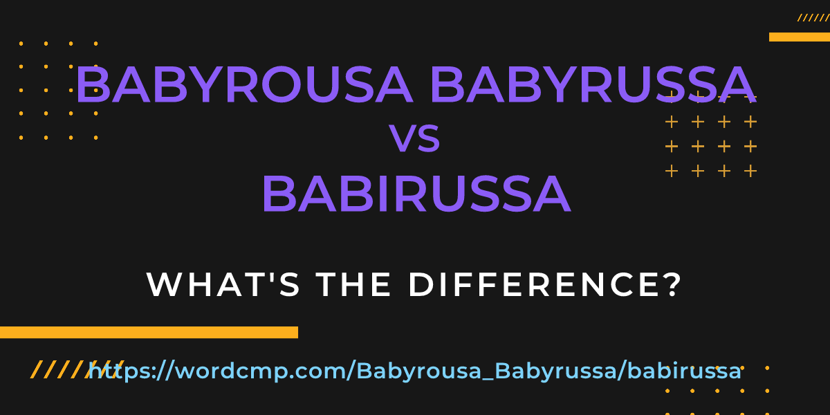 Difference between Babyrousa Babyrussa and babirussa