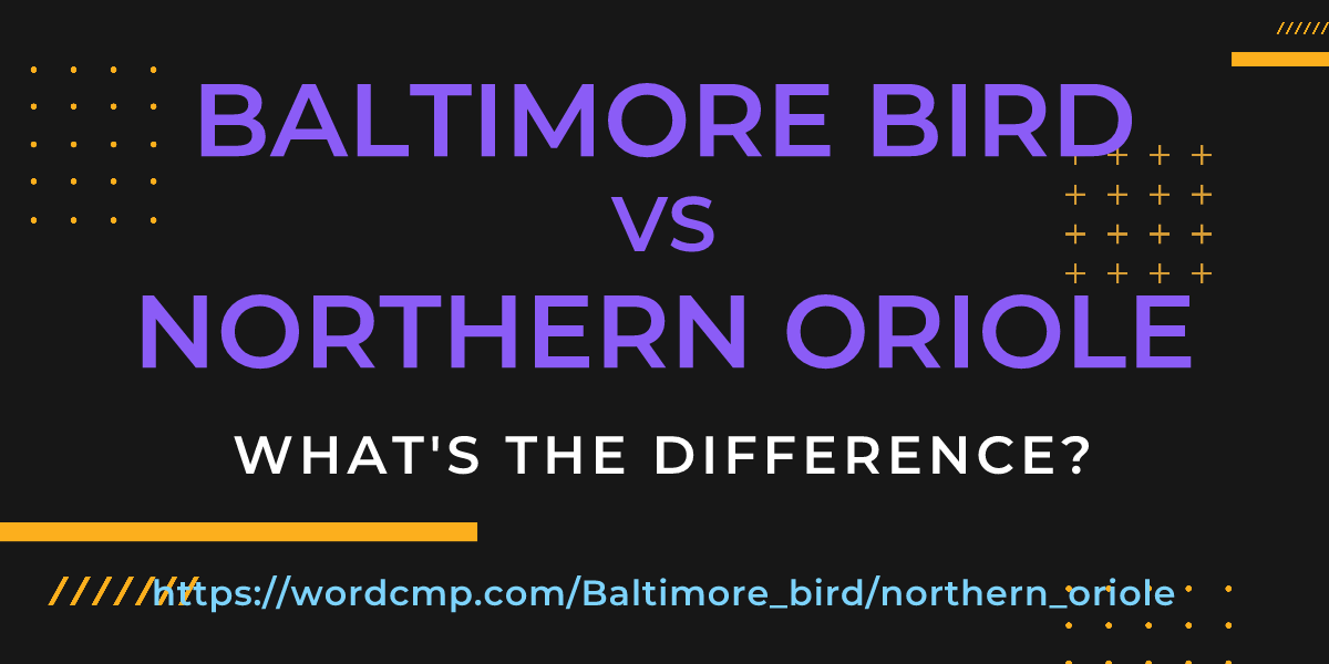 Difference between Baltimore bird and northern oriole