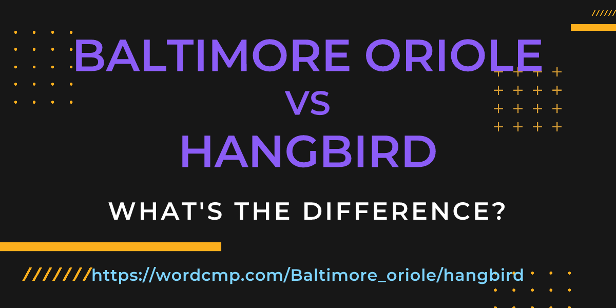Difference between Baltimore oriole and hangbird