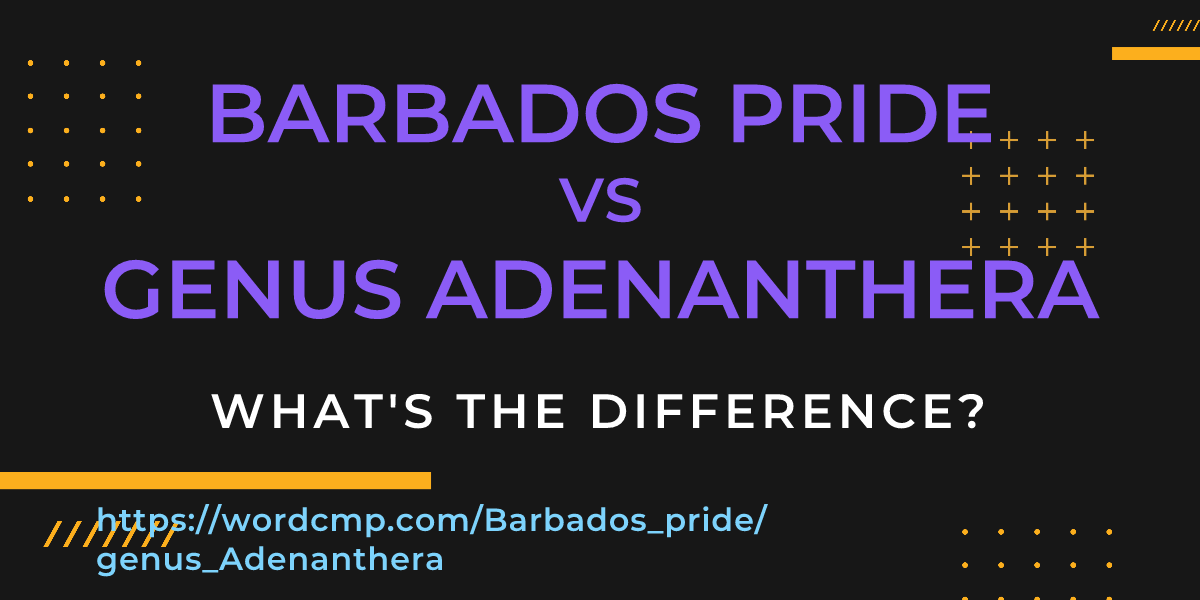 Difference between Barbados pride and genus Adenanthera