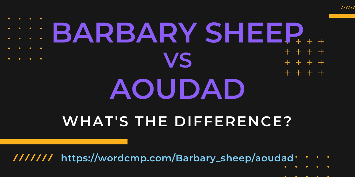 Difference between Barbary sheep and aoudad