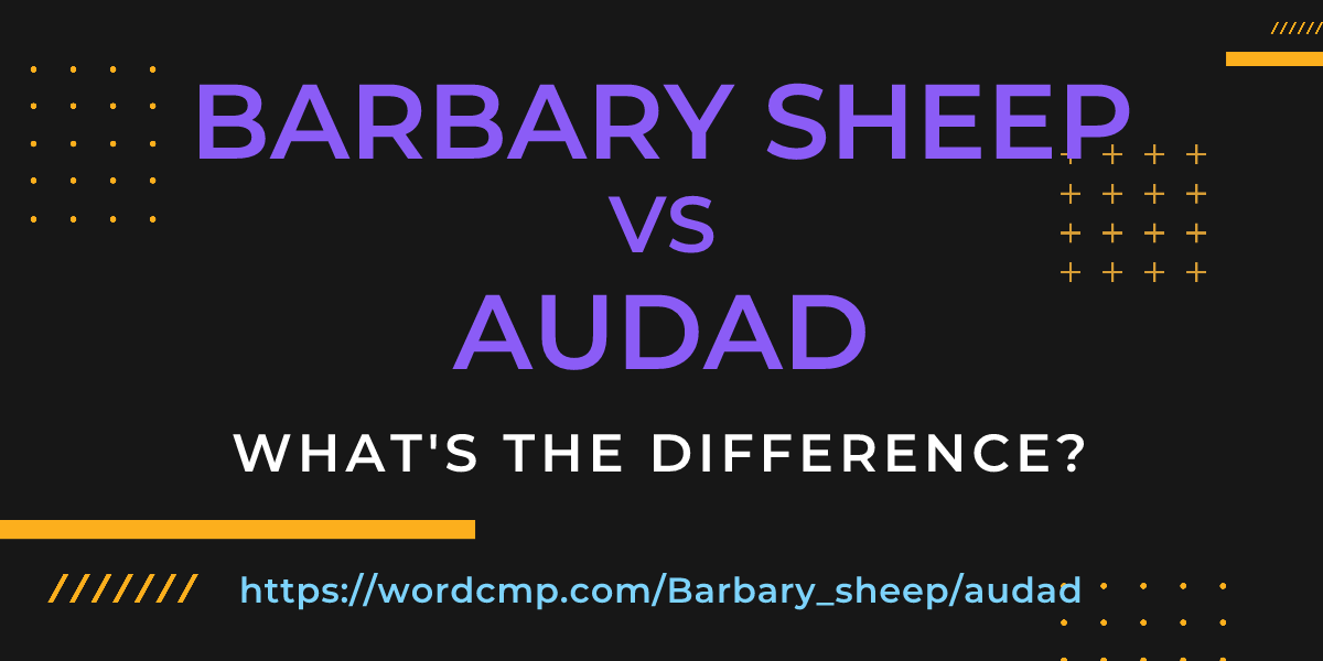 Difference between Barbary sheep and audad