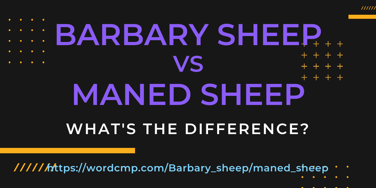 Difference between Barbary sheep and maned sheep