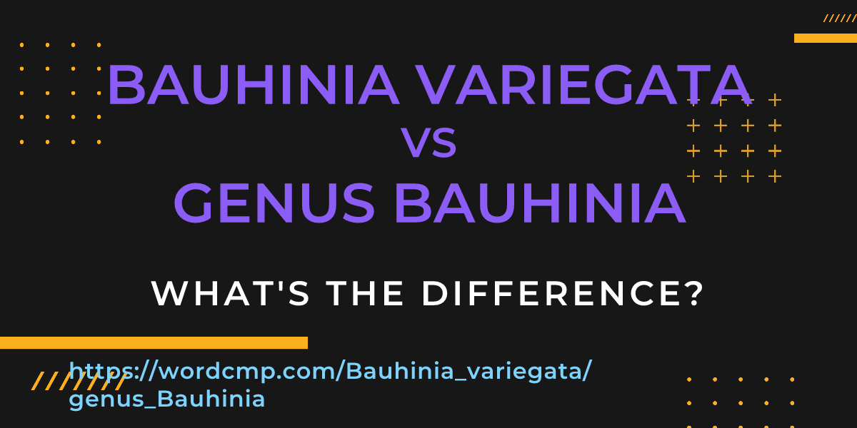 Difference between Bauhinia variegata and genus Bauhinia