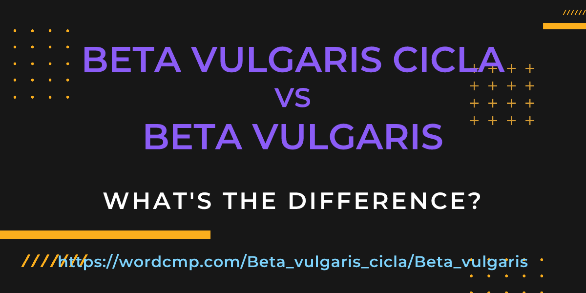 Difference between Beta vulgaris cicla and Beta vulgaris