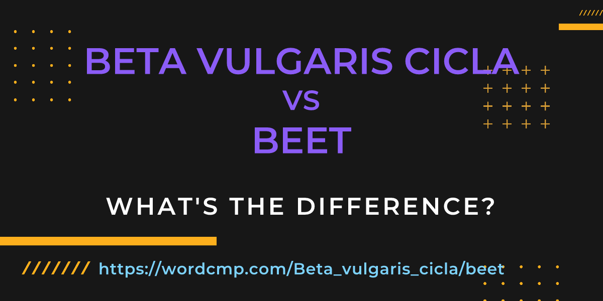 Difference between Beta vulgaris cicla and beet