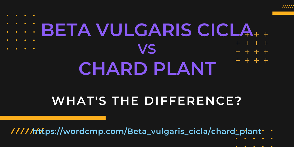 Difference between Beta vulgaris cicla and chard plant