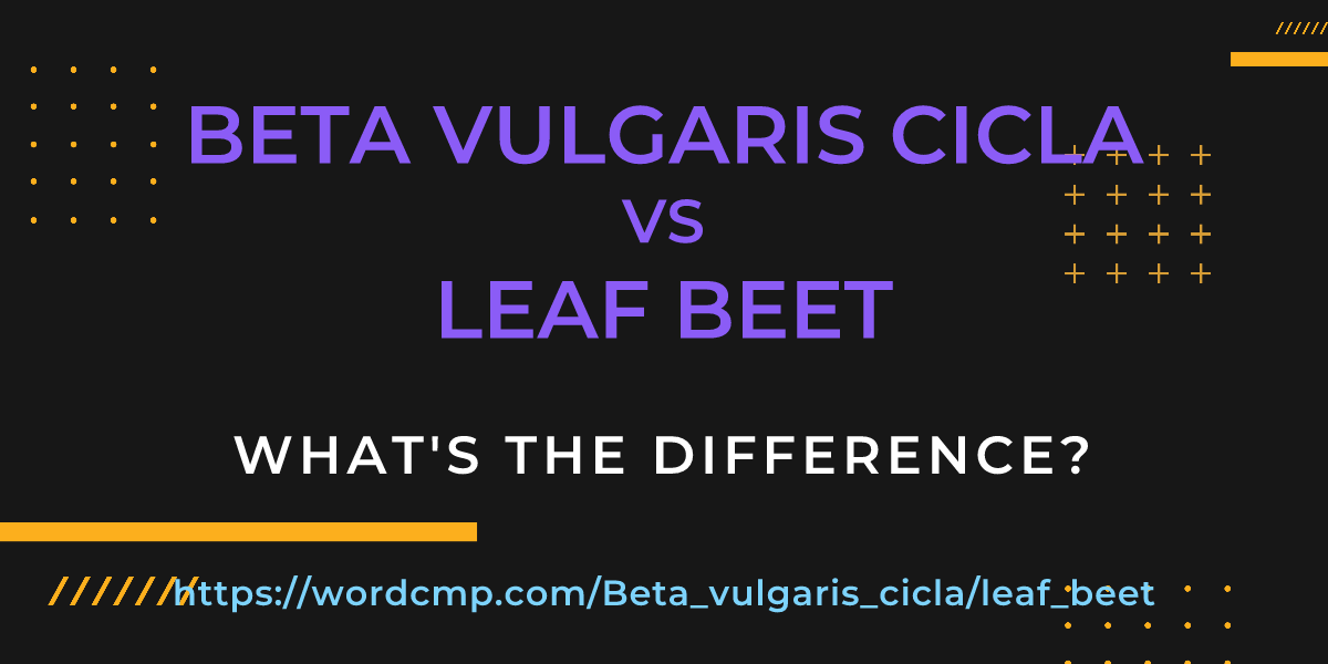 Difference between Beta vulgaris cicla and leaf beet