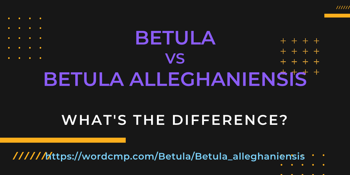 Difference between Betula and Betula alleghaniensis