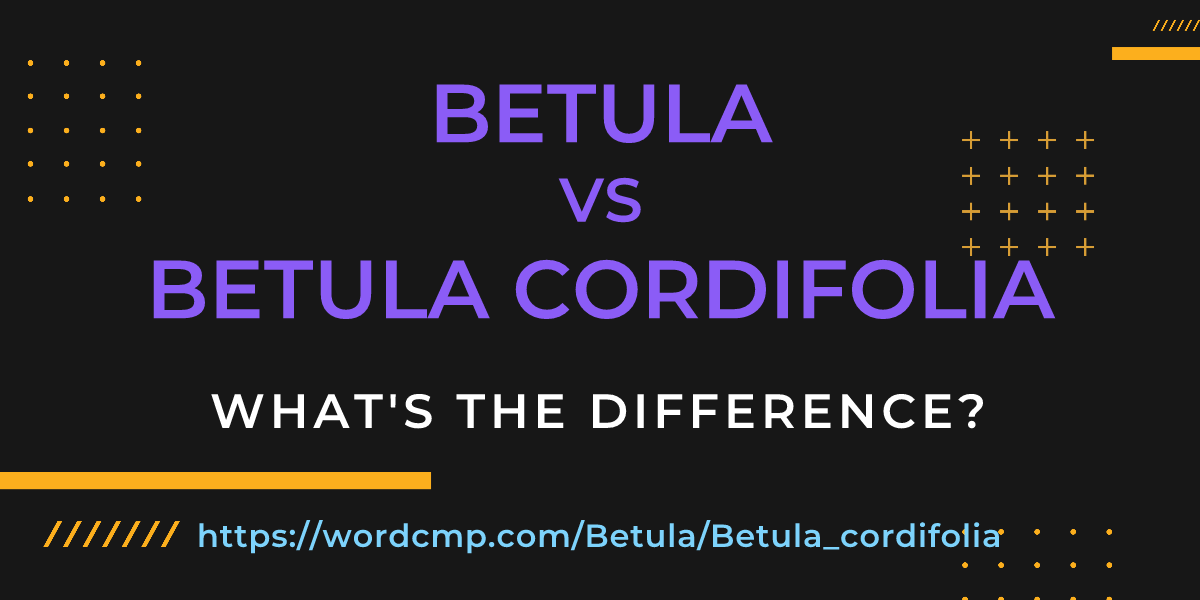 Difference between Betula and Betula cordifolia