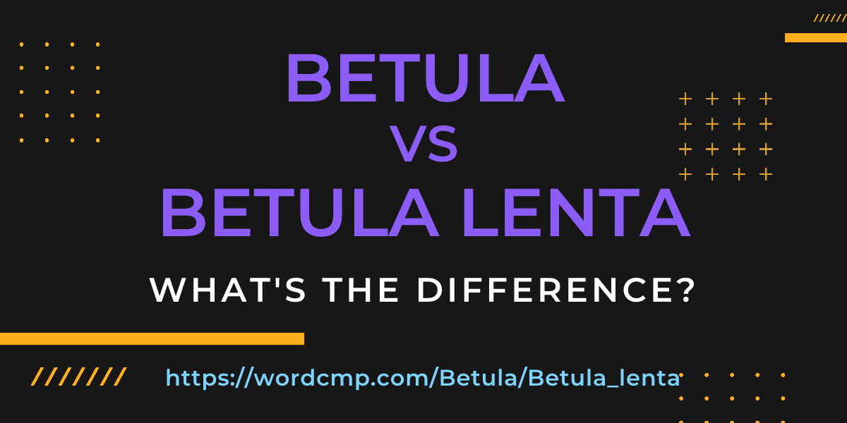 Difference between Betula and Betula lenta